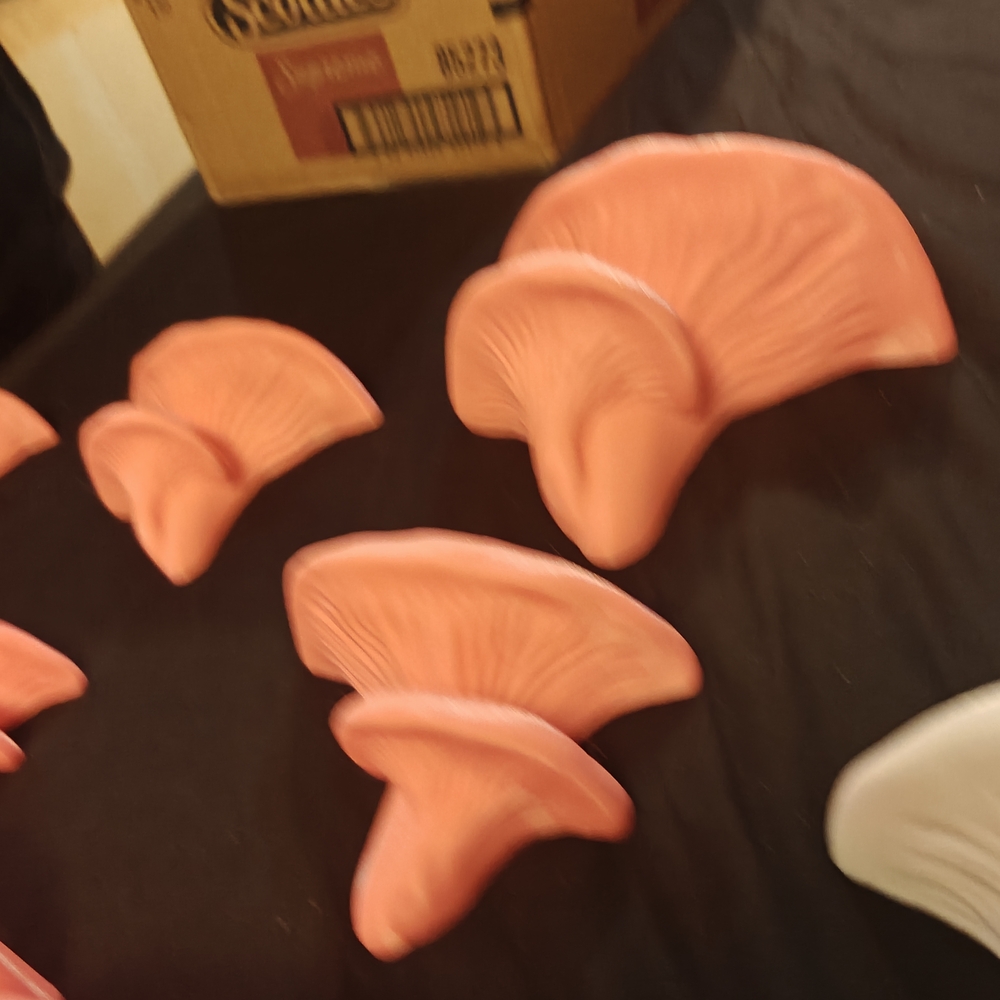 Set of Pink and White Wall Shelves - Picture 2 of 6